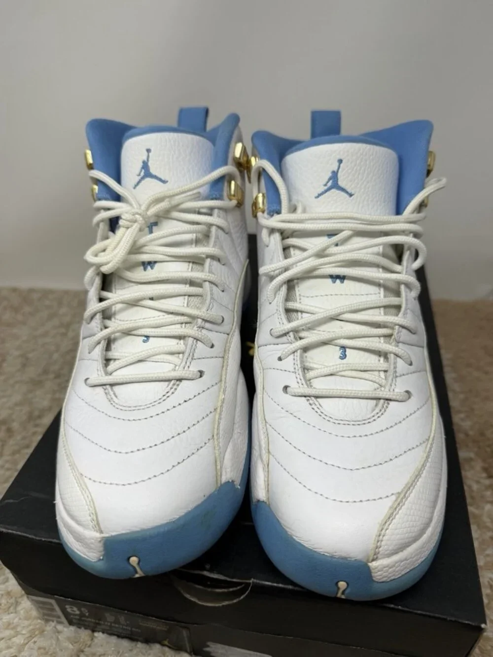 Jordan nike air